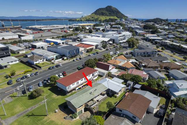 12b Puriri Street Mount Maunganui_3