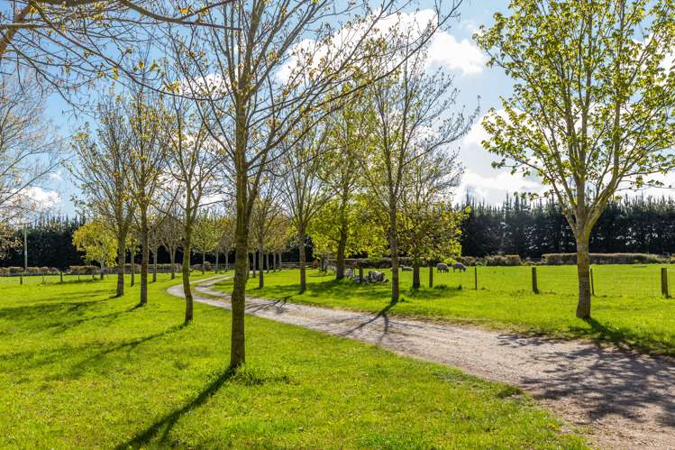 129 Hacketts Road Darfield_26