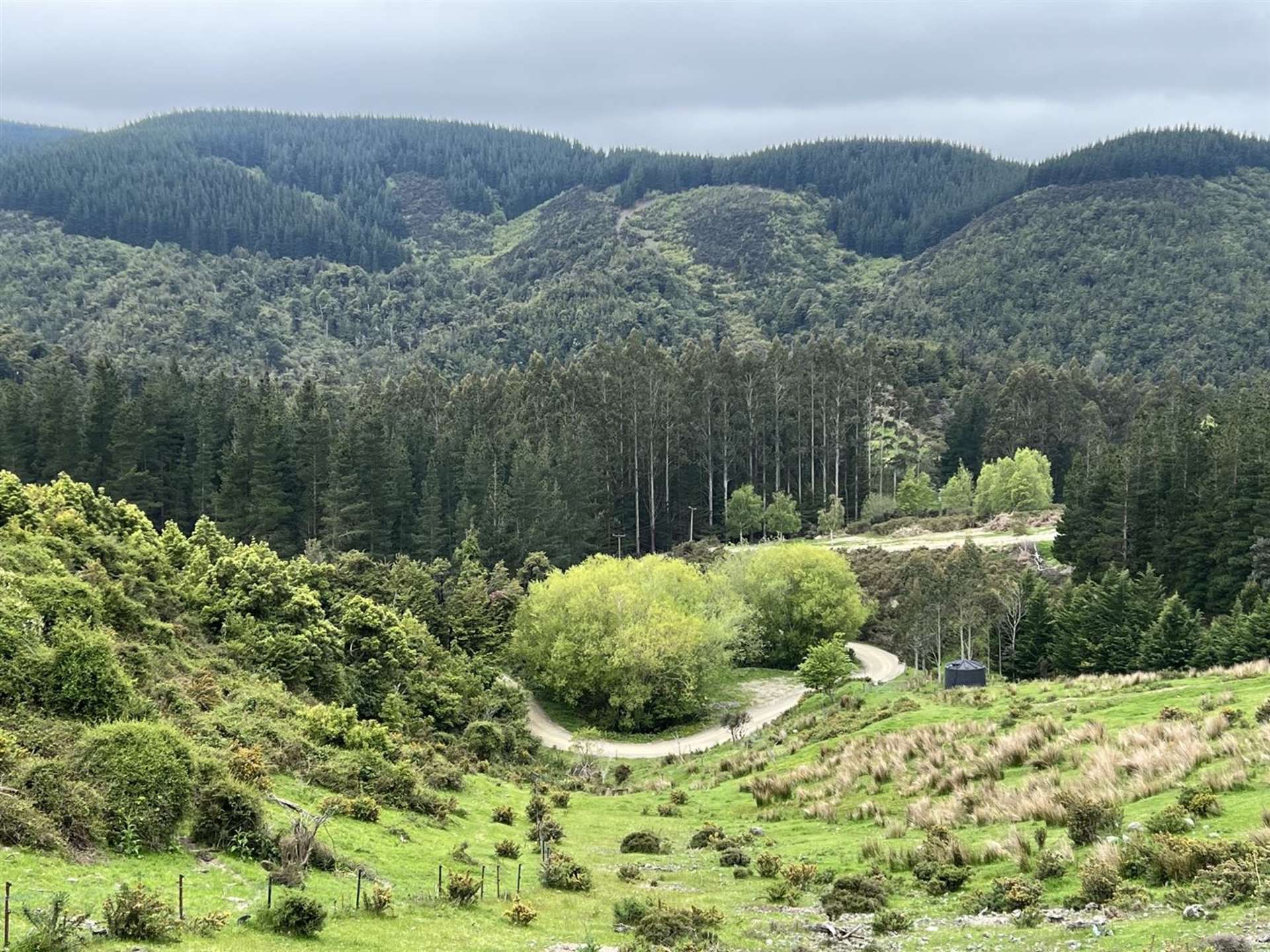 385 Glentui Bush Road Glentui_0