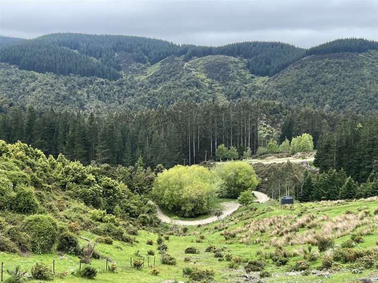 385 Glentui Bush Road Glentui_0