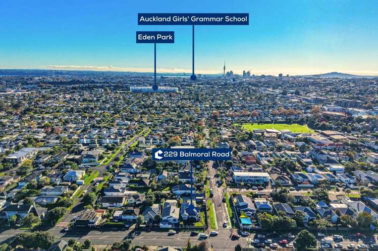 229 Balmoral Road Balmoral_30