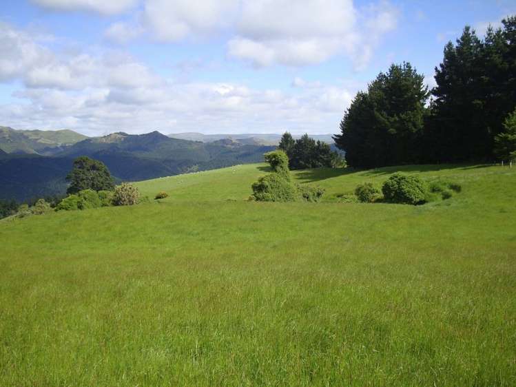 94 Stead Road Evansdale_18