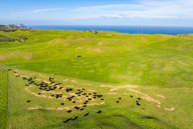 Pinaki Road Dargaville_2