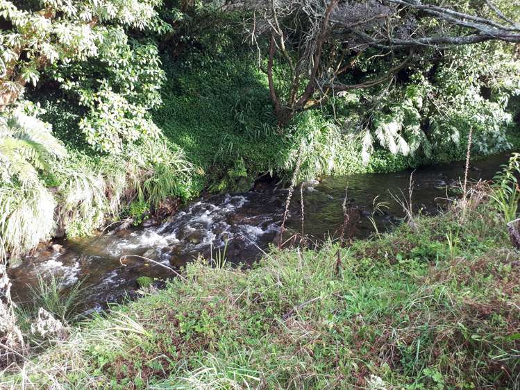 211 Surrey Road Tariki_2