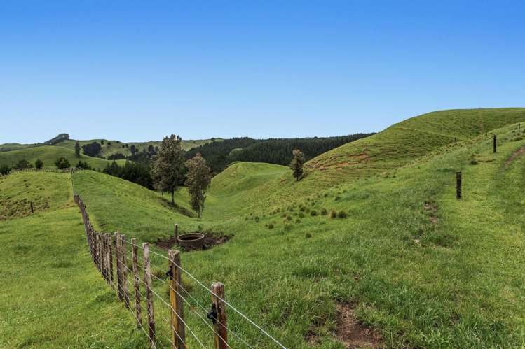 26 Settlement Road Pikowai_10