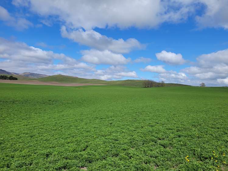 Oneill Road Ranfurly_9