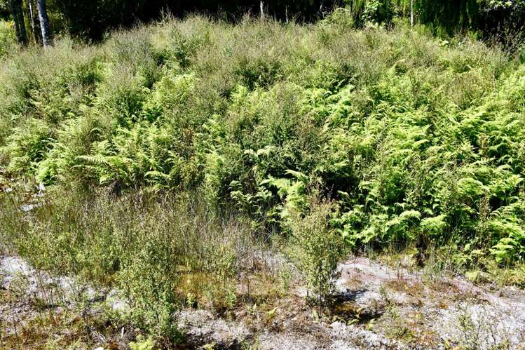 Lot 8 Sunset Heights Road Karamea_14