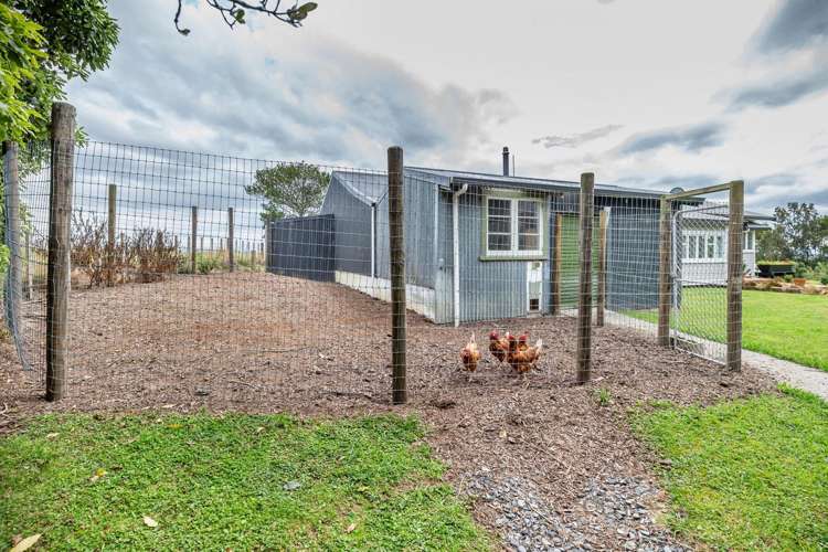 245 Wallace Road Levin_30