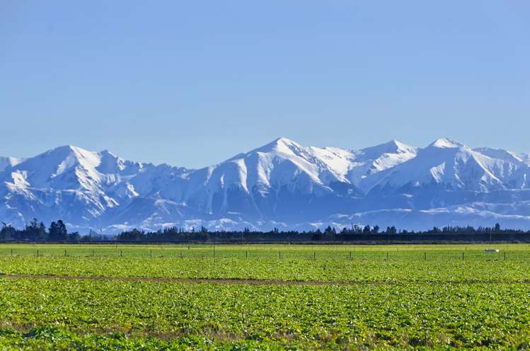 Telegraph Road Darfield_8