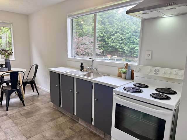 5 Salisbury Street Waikiwi_4