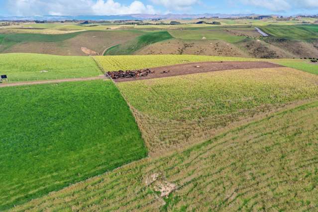 393A Pukeuri-Oamaru Road Pukeuri_1