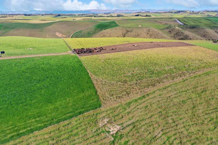 393A Pukeuri-Oamaru Road_1