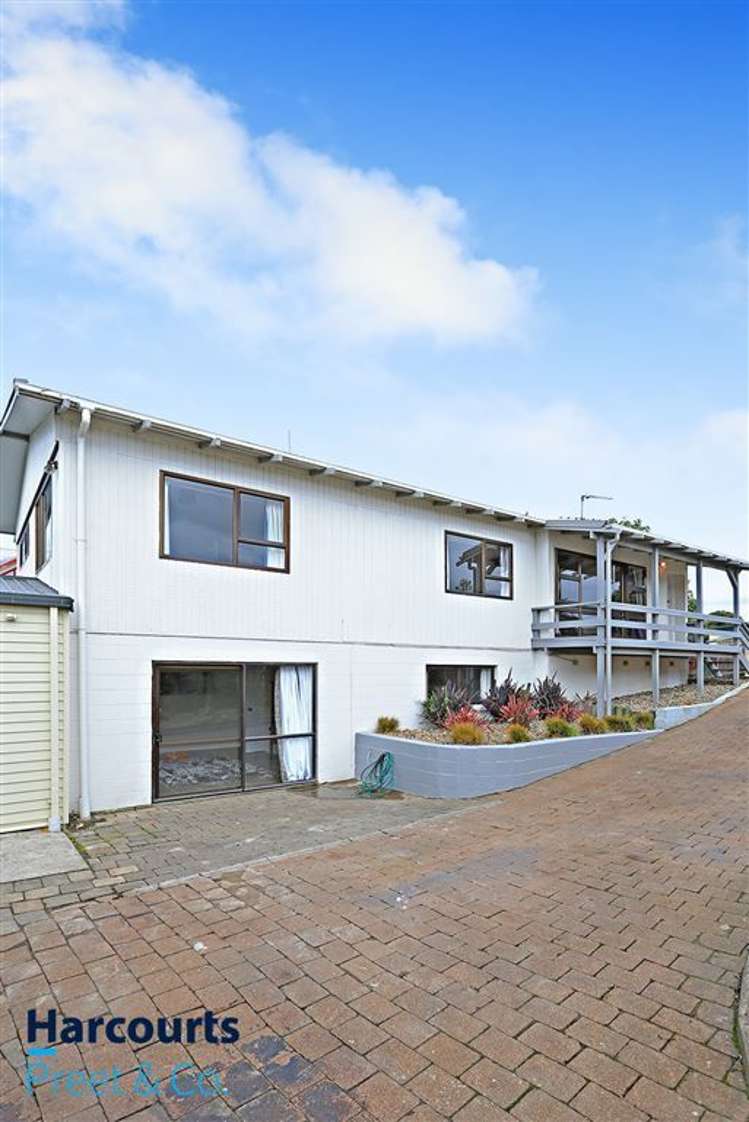 17 Lane Road Manurewa_1