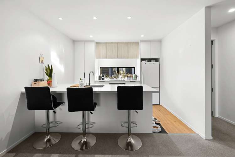 7 Gecko Lane Hamilton Lake_6