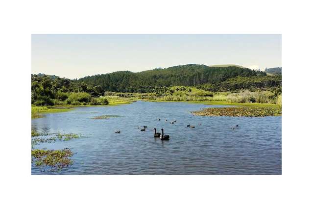 223 Constable Road Muriwai_4