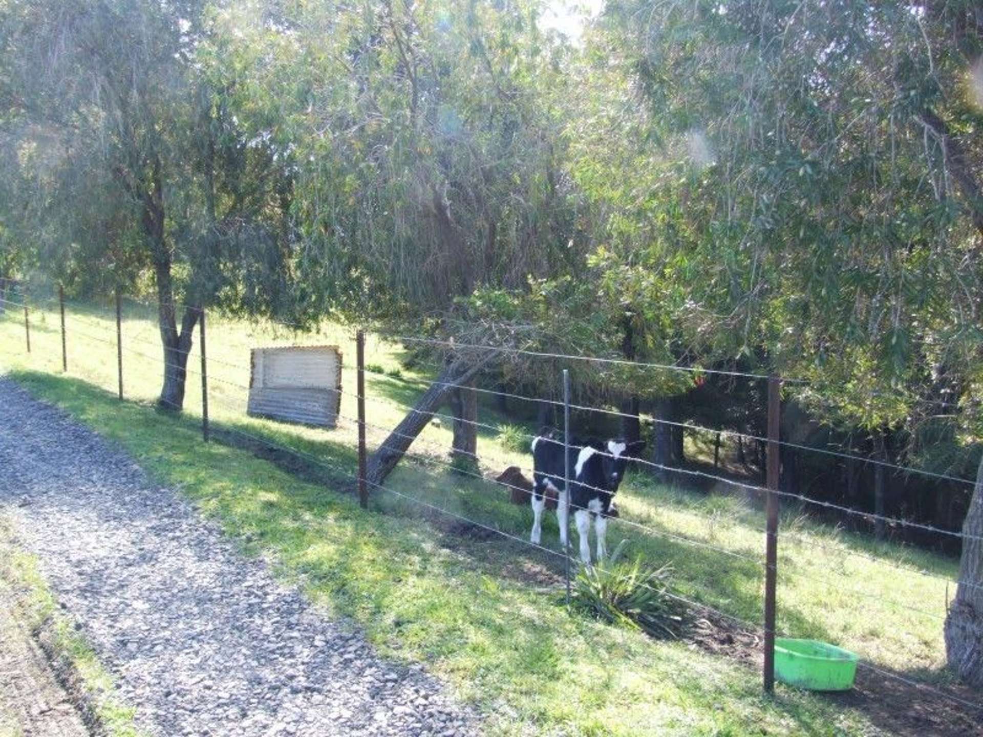 423 Quarry Road Kaitaia_0