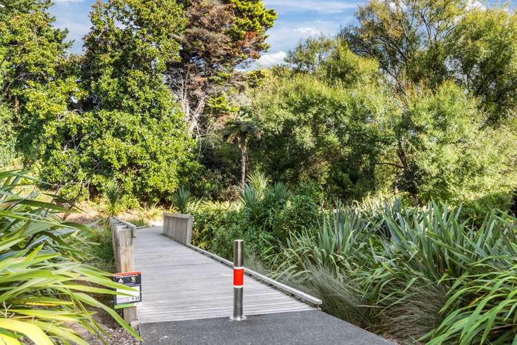 8 Glendon Avenue Avondale_16