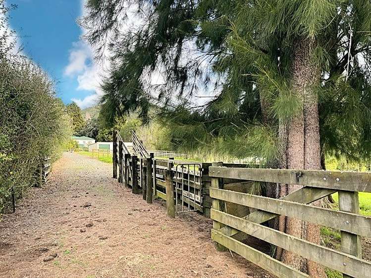 1356 State Highway 14 Maungatapere_23