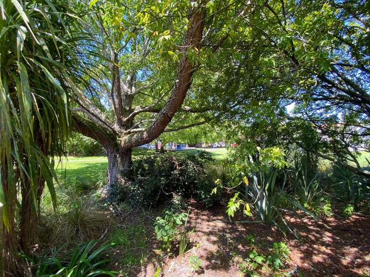 292 Manukau Road Epsom_13