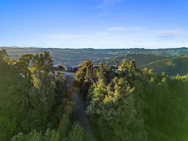 Opotiki Road