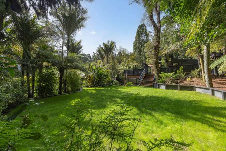 12 Taraire Road Titirangi_11