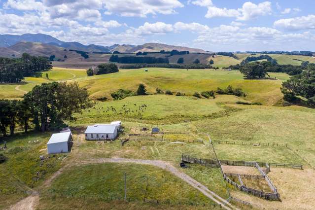 812 Laws Road Dannevirke_2