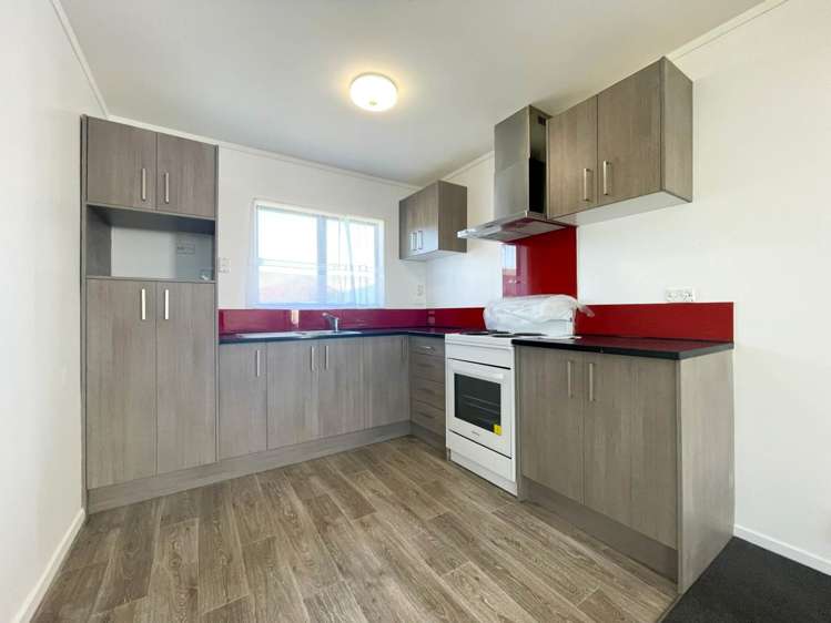 58 Maplesden Drive Clendon Park_2