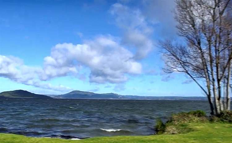 64/1420 Hamurana Road Mourea_12