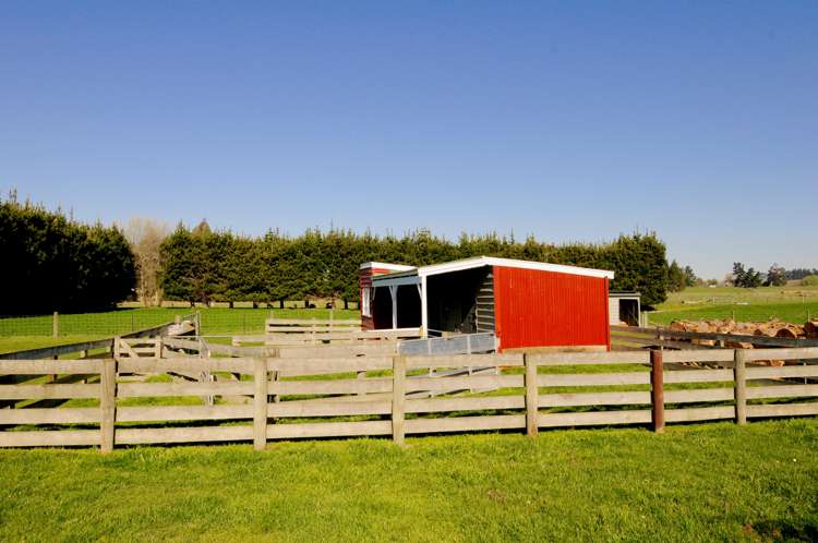 64 Waihao Back Road Waimate_22