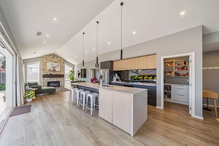 22 Hopkirk Avenue Wallaceville_6