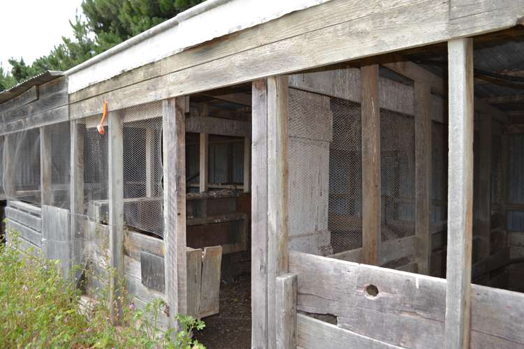 1398 Main North Road Waikuku_6