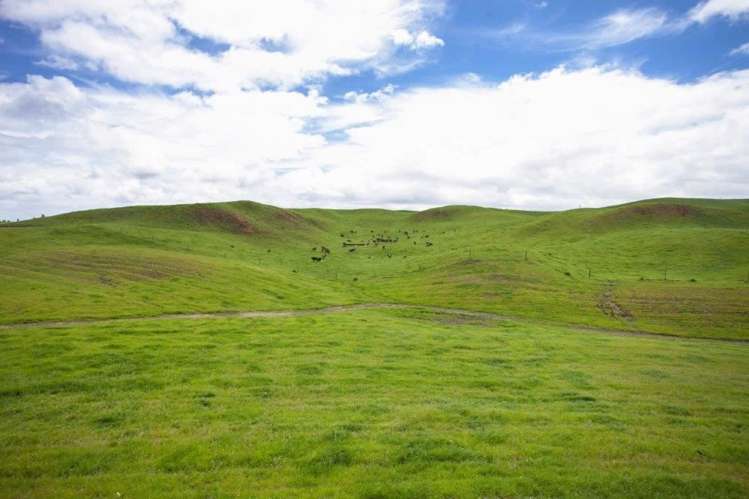 81 Key Road Kinleith_0