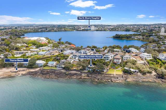 255 Hurstmere Road Takapuna_4