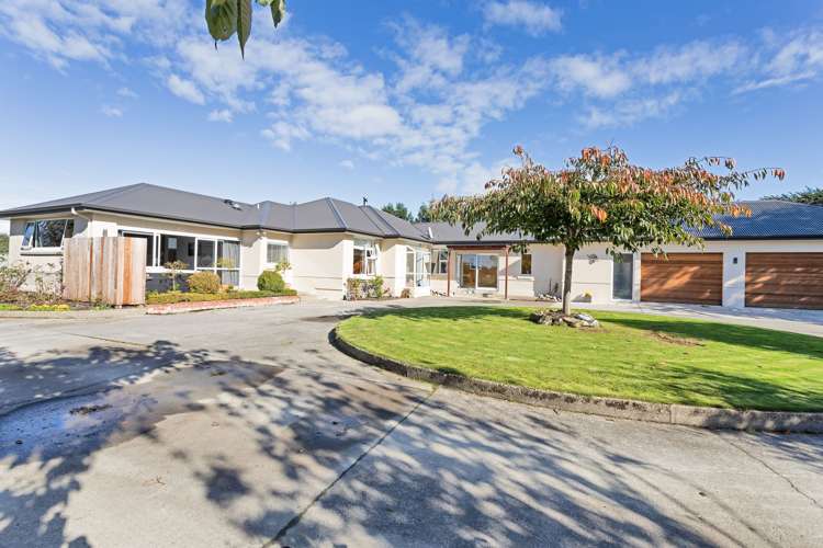 223 Roslyn Road Roslyn Bush_18