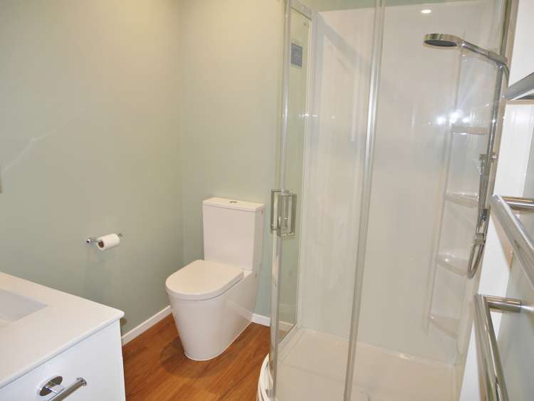 87b Saint Martins Road Saint Martins_12