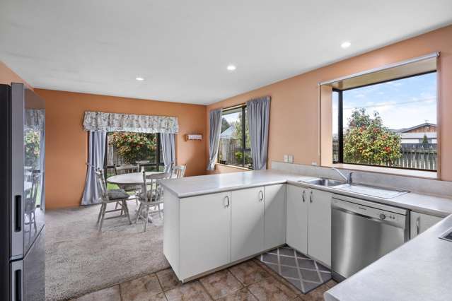 165 Edinburgh Street Spreydon_3