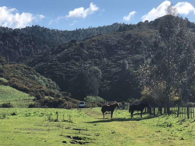 269 Hakarimata Road Ngaruawahia_4