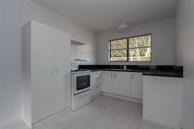 116A MacFarlane Street 1074_8