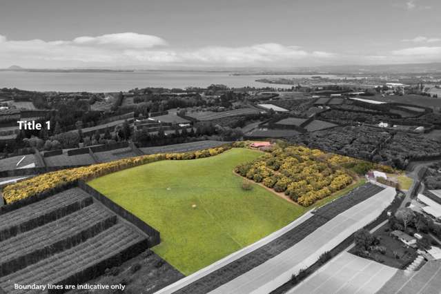 Ideal Kiwifruit Conversion or Lifestyle, 14Ha