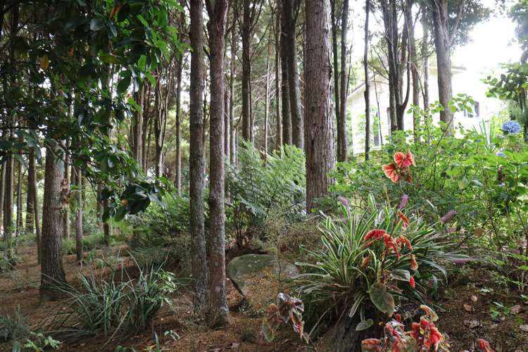 9 Edkins Road Kerikeri_3