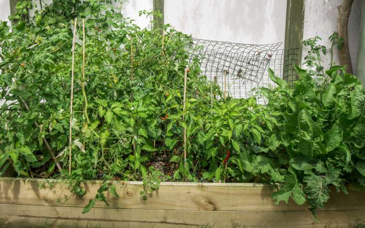 2/29 Rosebank Grove Waikanae_19