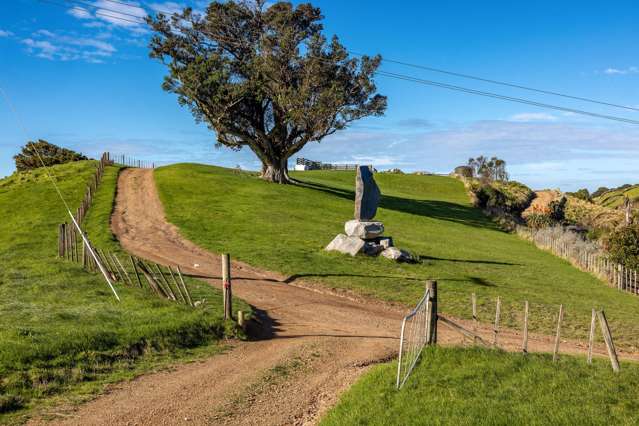 59 Waimangu Road Waiheke Island_1