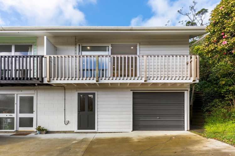 109B Fraser Avenue Johnsonville_9