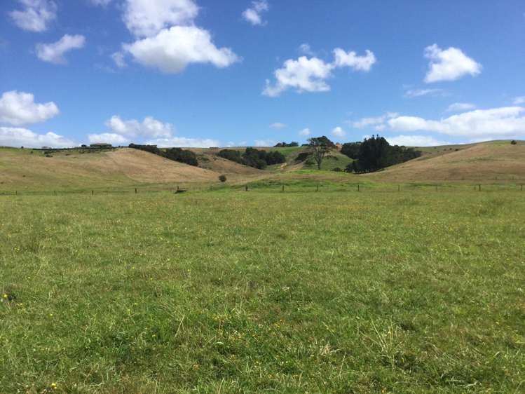 56 Sandford Road Ruakaka_4