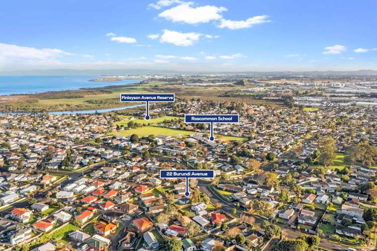 22 Burundi Avenue Clendon Park_9