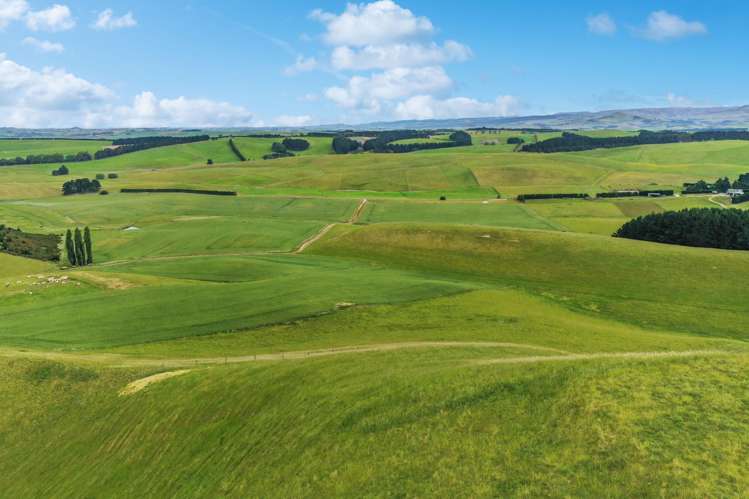 70 Finlay's Road Windsor_6