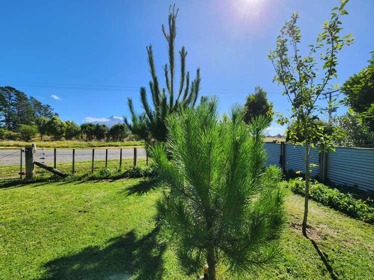 18 Rugby Road Tariki_6