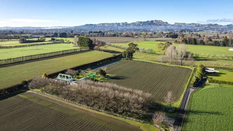 637 St Georges Road South Havelock North_1