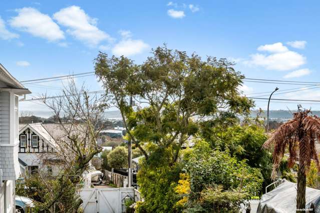 17a Seaview Terrace Mount Albert_3