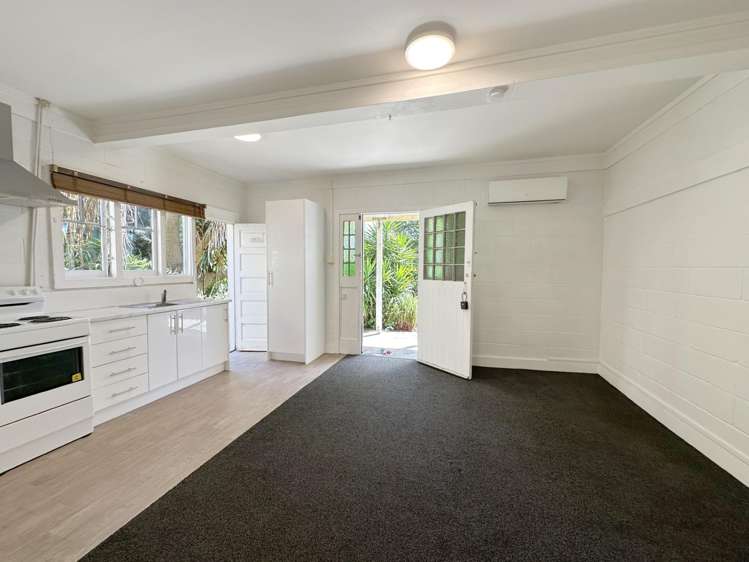 5 Copeland Street Eden Terrace_15